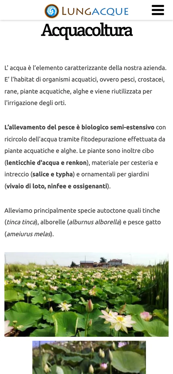 La pagina sull'acquacoltura vista dal telefono