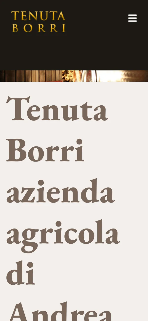 La pagina Chi siamo di Tenuta Borri vista dal telefono